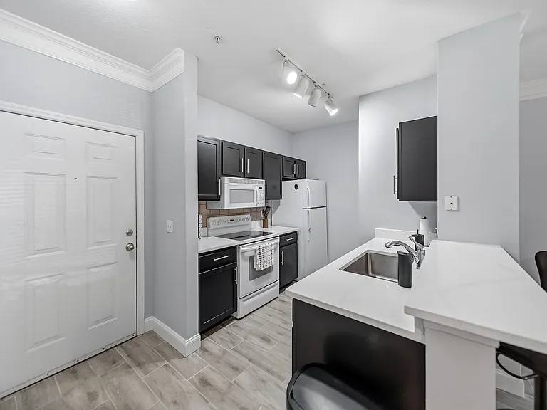 4207 S Dale Mabry Hwy #6111 — Photo 5