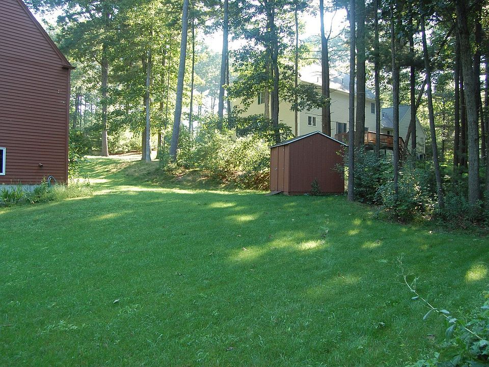 Back Yard and Shed