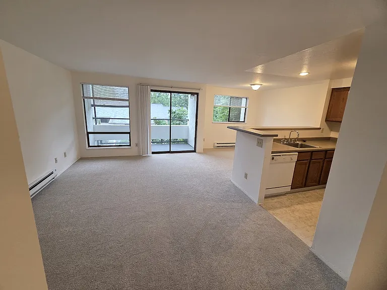 Living Space, Kitchen and Dining
