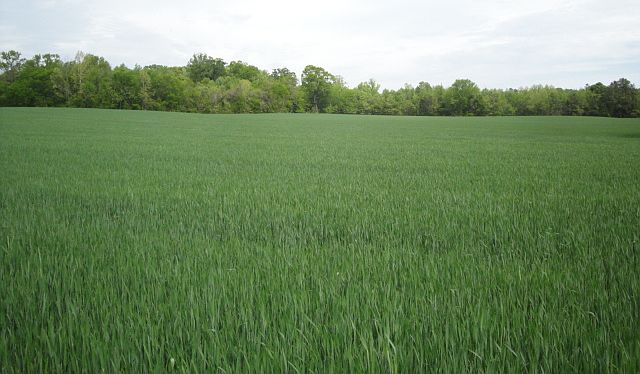 1st image of 29.9 Acres Indian Town Road