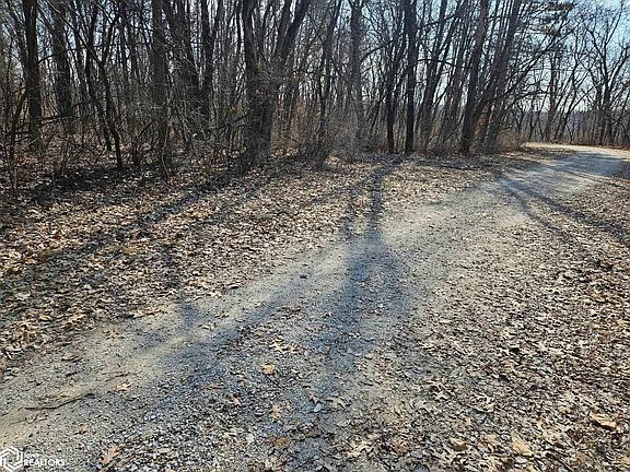 2nd image of 1310 Pine Ridge Ln