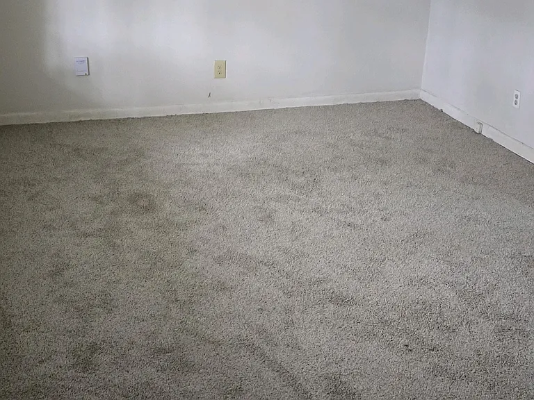 1551 Bingham Dr — Photo 8