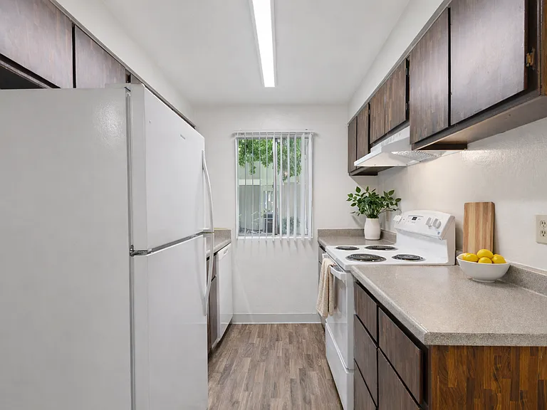 Oakwood Village Apartments — Photo 5