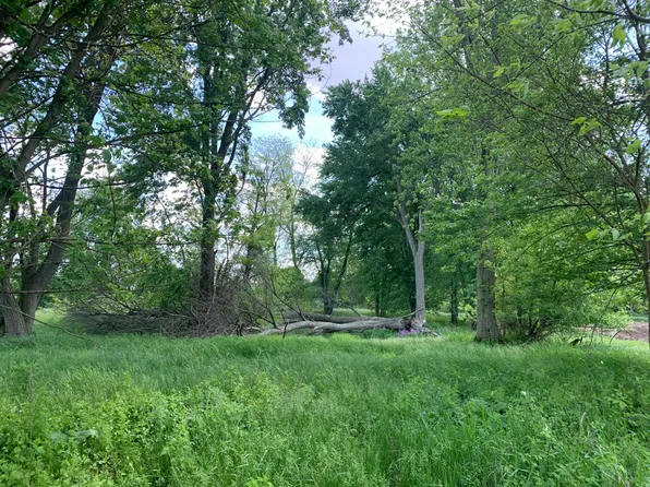 Brink Rd, Bronson, MI 49028