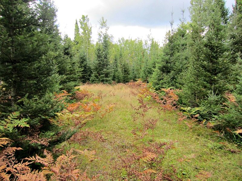 1st image of 331 Maggie Lakes Tr #21