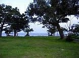 5th image of 733 E Scenic Dr