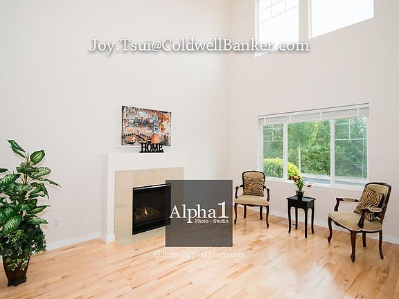 Soaring Ceiling Living - with gas fireplace