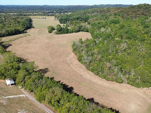 4th image of 501 Gray Rd
