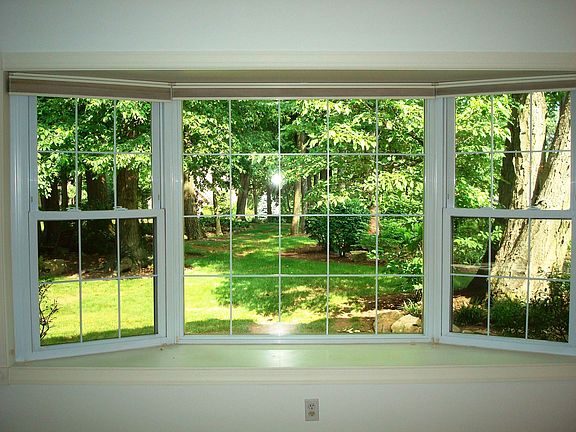 The View from Your LR!