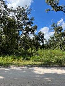 00 NE 197th Ave, Old Town, FL, 32680