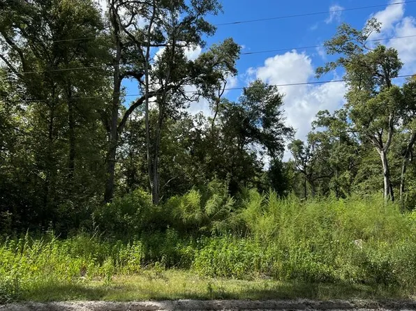 00 NE 197th Ave, Old Town, FL 32680