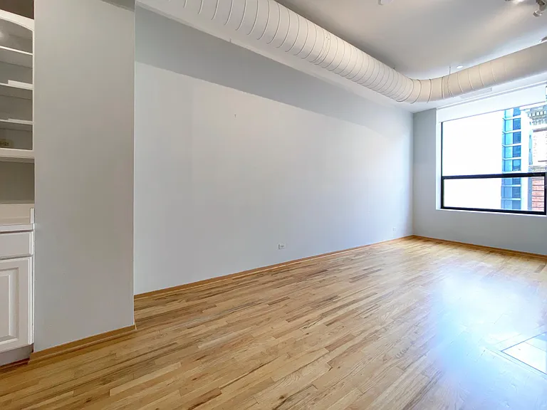 910 S Michigan Ave #1009 — Photo 8