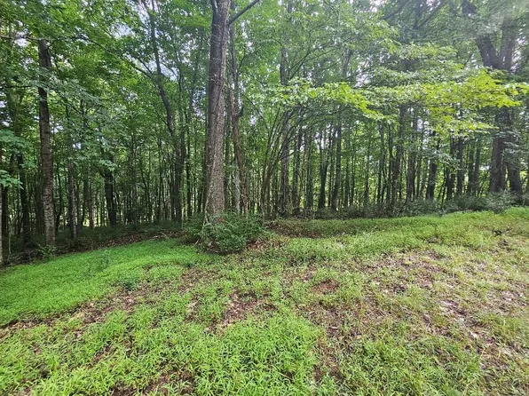 Tbd Fries Rd, Galax, VA 24333