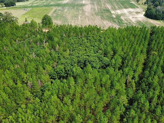 Dji Fly 20260830 114100 426 1788104503761 Photo Optimized
