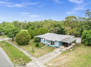 1165 Trellis Ave, Spring Hill, FL 34606