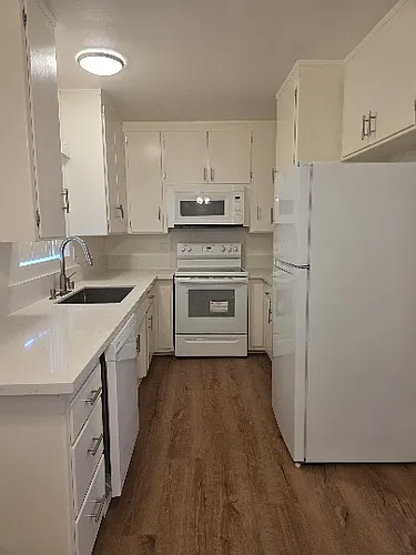 Floor plan 1 Bed 1 bath