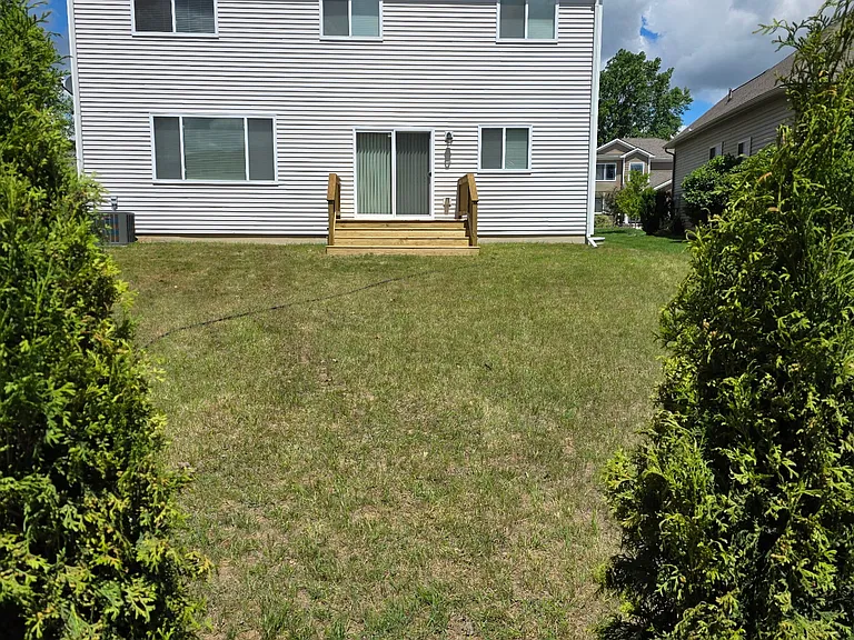 View of backyard looking toward the house