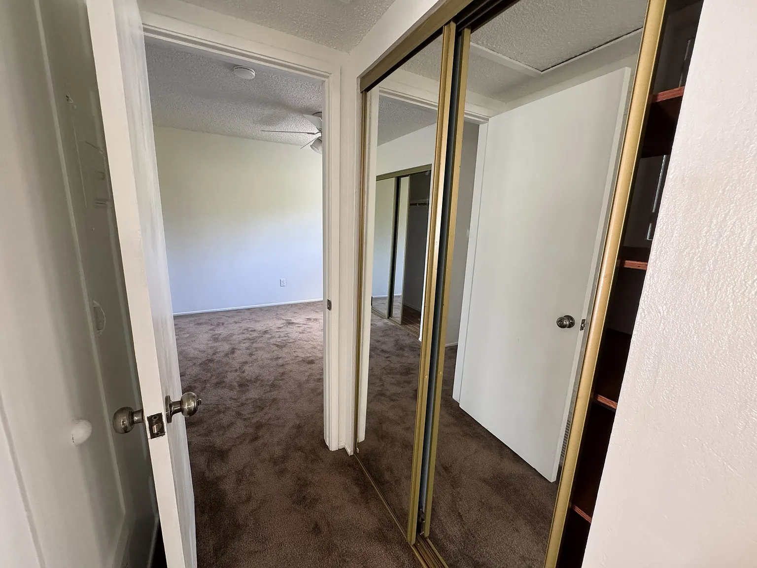 2 bed, 800 sqft, $2,900 — Photo 2