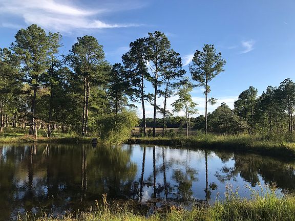 Bass pond