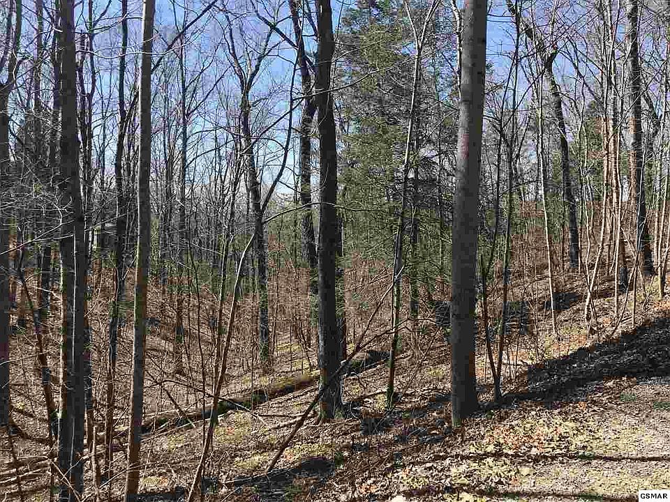 2nd image of Black Oak Ridge Rd