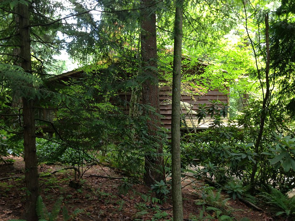 A home in the trees