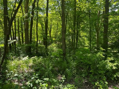 0 Woodmont & Susquehanna Dr, Meadville, PA, 16335