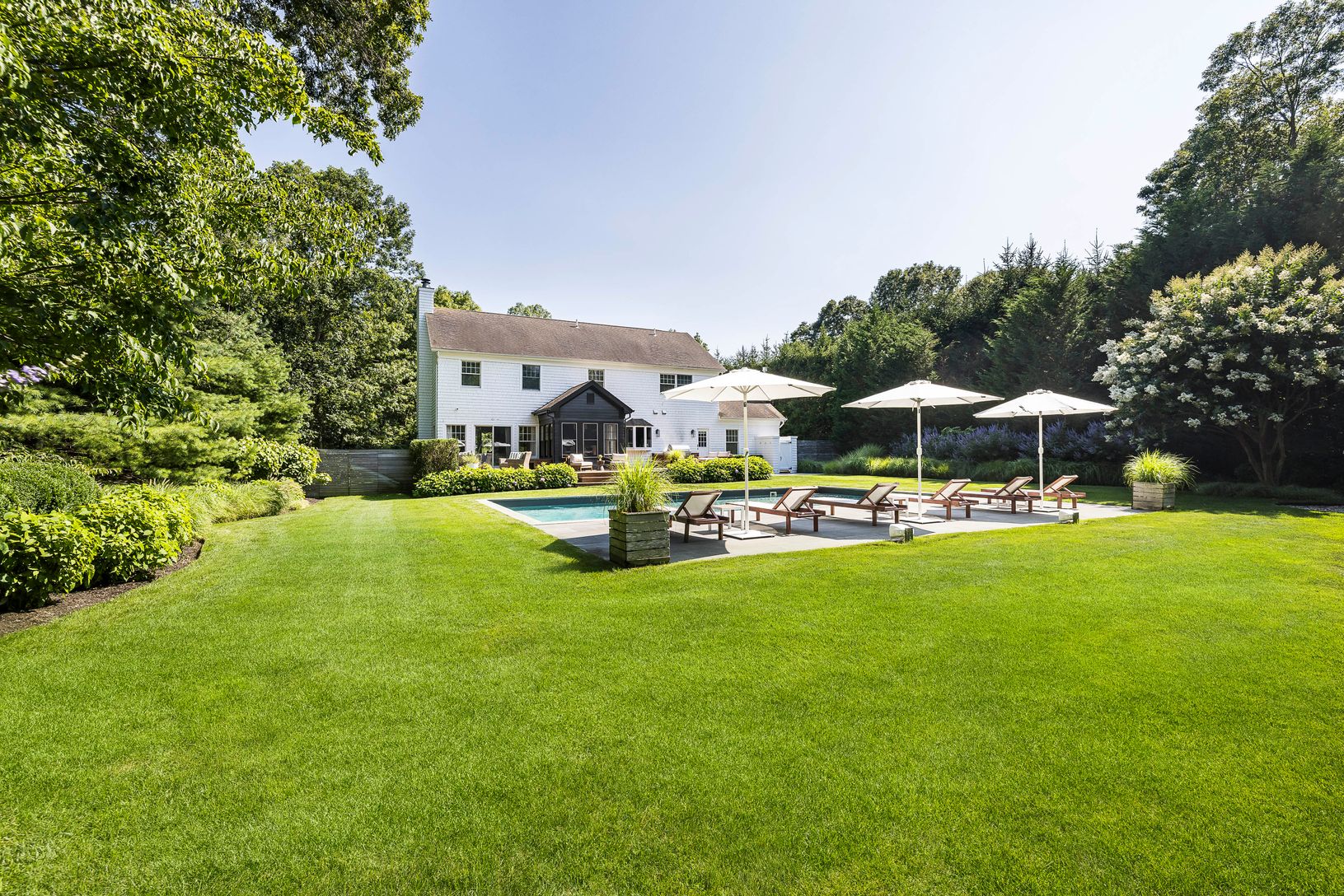  Lush lawn