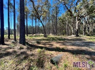 LOT 38 Nesom Rd, Denham Springs, LA 70706