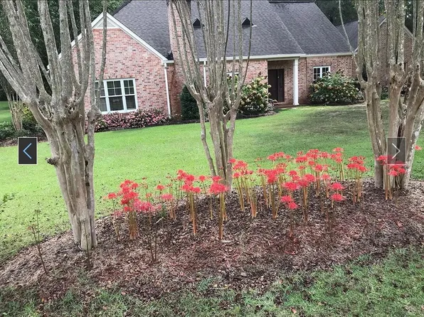 1029 Paige Dr, McComb, MS 39648