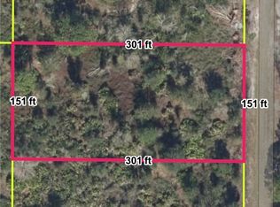 1236 S Brodie Rd, Avon Park, FL 33825