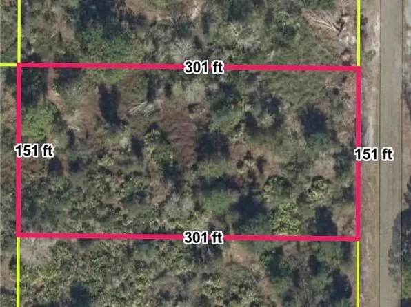 1236 S Brodie Rd, Avon Park, FL 33825