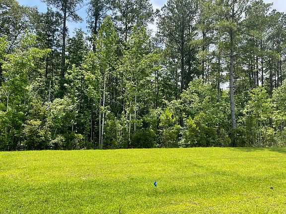 Backs up to Beautiful Tree Line