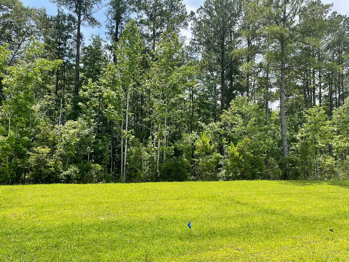 Backs up to Beautiful Tree Line - 8815 Baton Rouge Ave NW