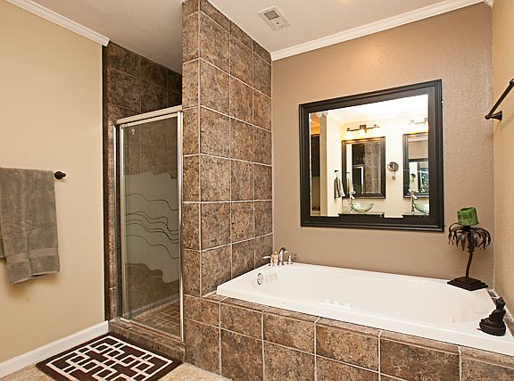 Master shower and tub