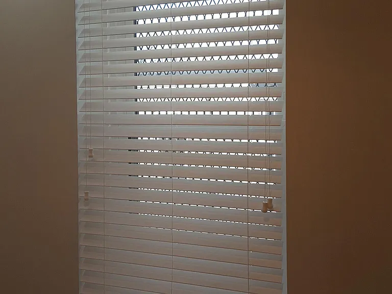 all new blind throughout the apartment