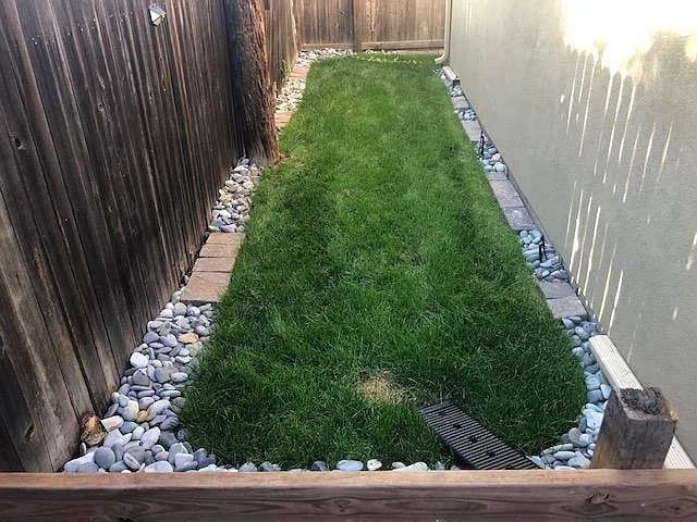 Dog run