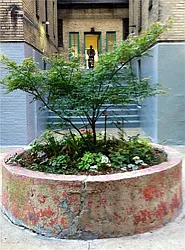 Rented by Nancy Packes Inc.