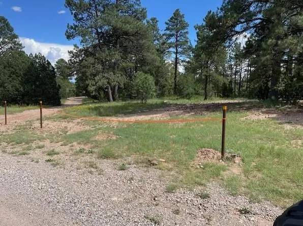 263 Forest Rd, Estancia, NM 87016