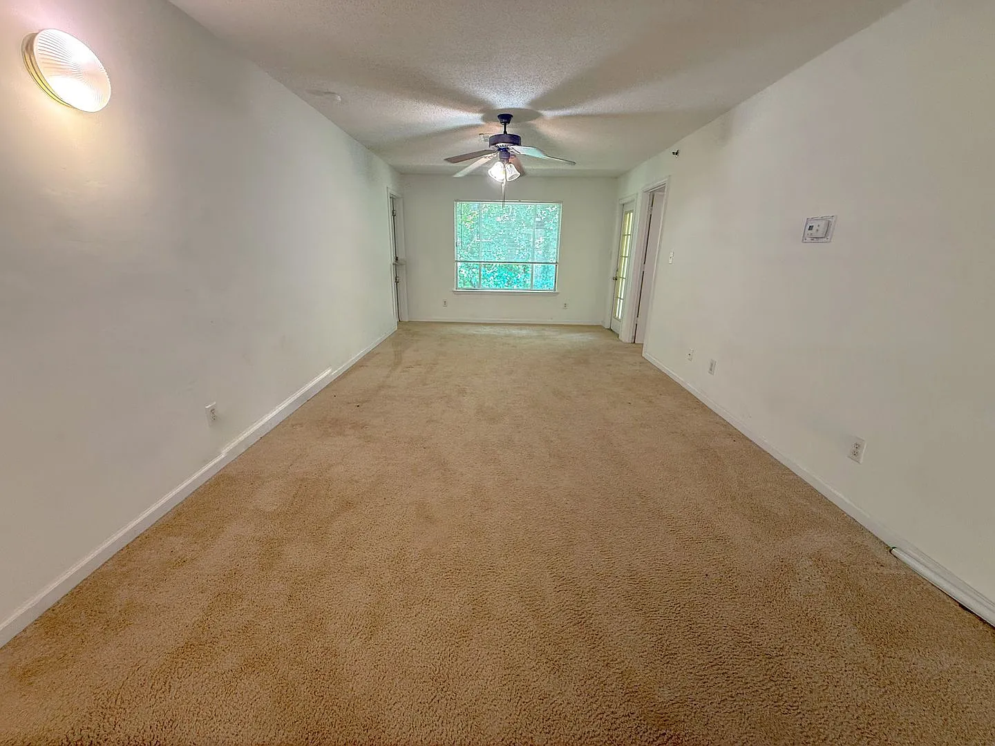Top floor 4 bed 4 bath condo! On Wolfline, perfect for roommates! — Photo 4