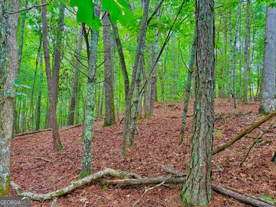 0 Hale Ct, Ellijay, GA, 30540