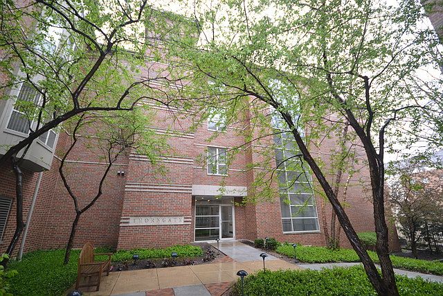 1st image of 57 E Hattendorf Ave APT 208