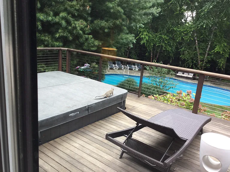 14 Hedges Banks Dr — Photo 22