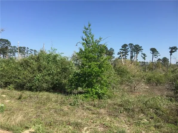 Tbd Comanche Dr, Paige, TX 78659