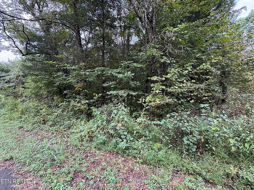 1st image of Dogwalk Rd