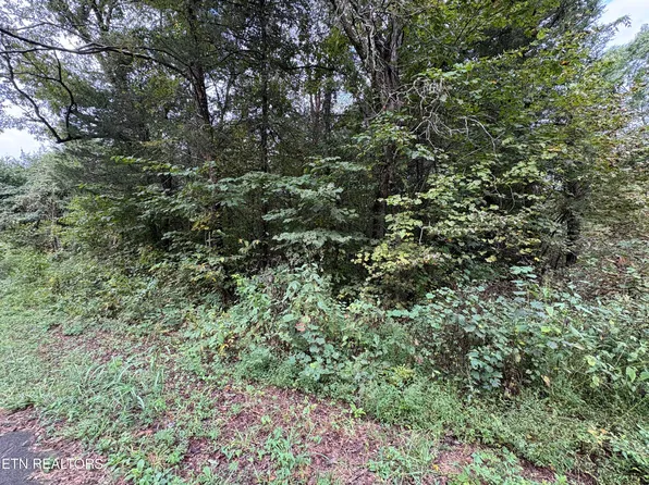 Dogwalk Rd, Greeneville, TN 37745