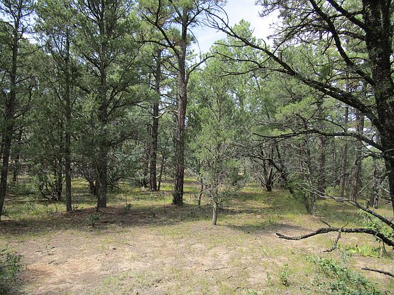 4th image of 33024 Ponderosa Ridge Dr