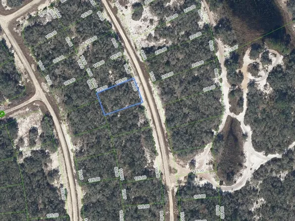 252 Crystal Lake Dr, Lake Placid, FL 33852