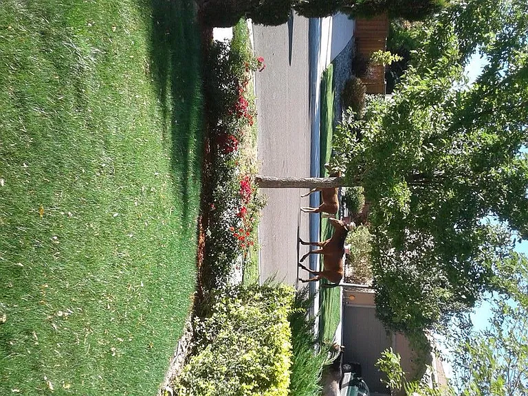 455 Manciano Way — Photo 19