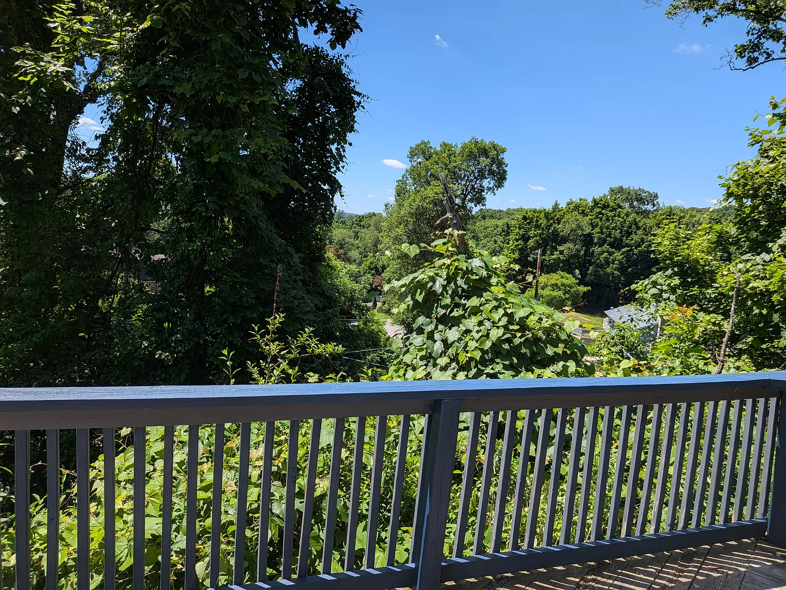 3 bed, 900 sqft, $2,900 — Photo 3