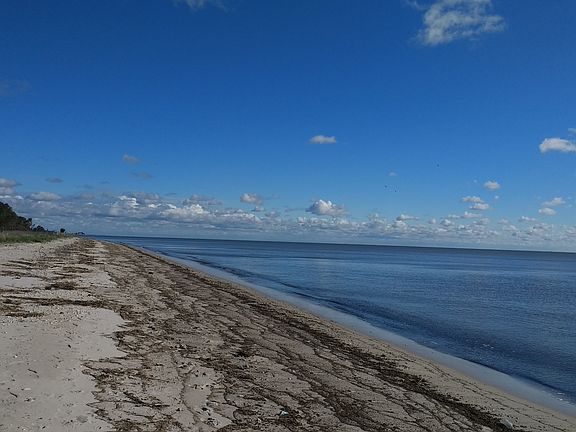 Beach looking North.